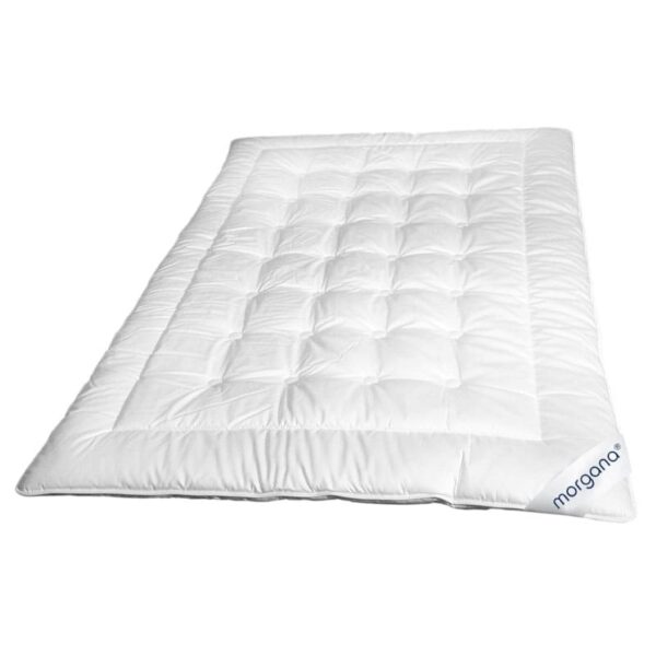 morgana Basic Seide WK 1 - Derboven Textil Buchholz
